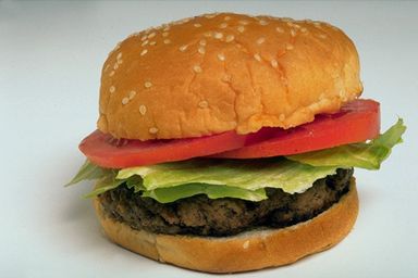 hamburger